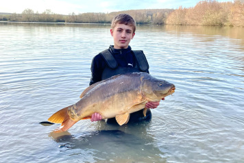 New Additional Stock - 12