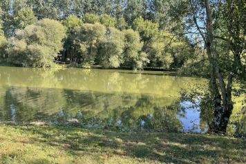 More work to island - 5