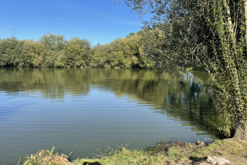 More work to island - 4