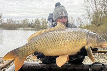 Additional Stocking - 6