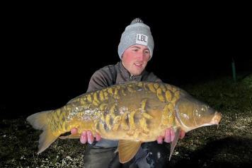 New Additional Stocking - 2