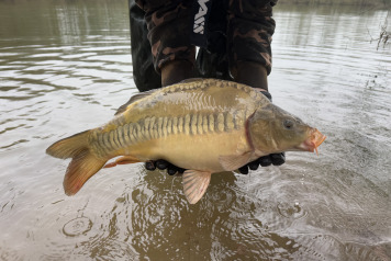 Additional Stock - 11