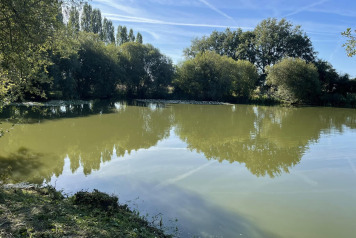 More work to island - 6