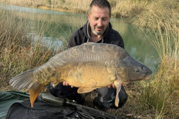 New Arrivals at Golden Carp Lake - 2