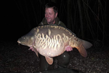 What an Evolution - 2