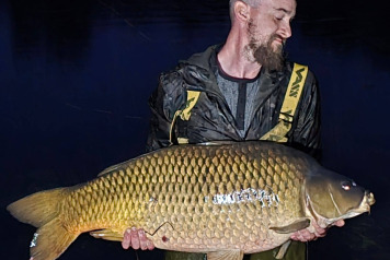 A week of 2 halves - 2