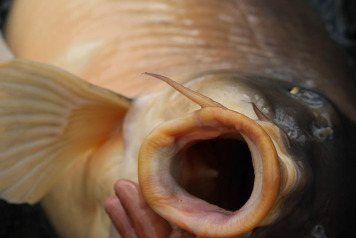 Challenging weather conditions - 6