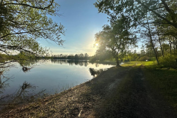 Water Level Update - 12