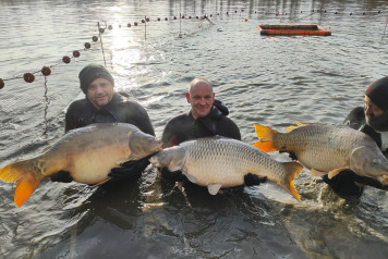 Netting & stock check - 4