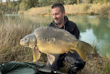 New Arrivals at Golden Carp Lake - 16