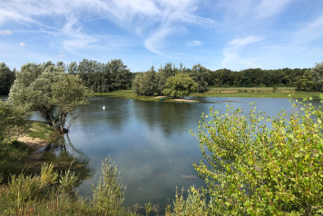 Water Level Update - 5