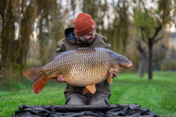 57lb common & winter additional stocking incoming - 2