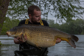 52lb Common - 1