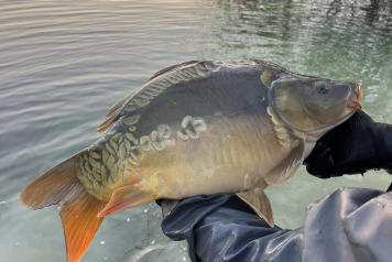 Final stocking For This Winter - 4