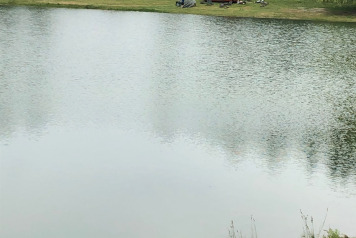 Water Level Update - 4