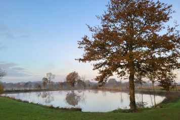 Second Pond Update - 1