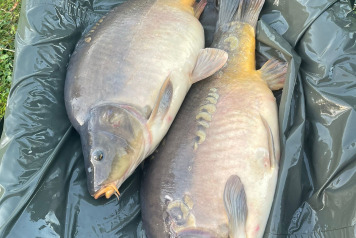 Additional Stocking - 3