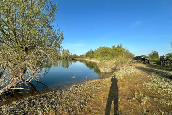 Water Level Update - 5