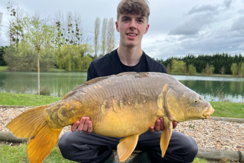 The fish are feeding - 4