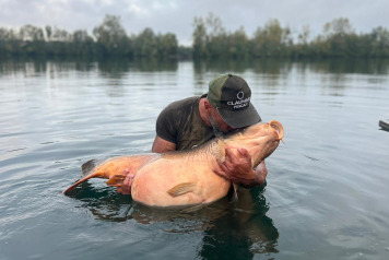 78lb mirror - 4