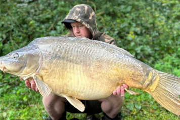 Last week for 2024 - 3