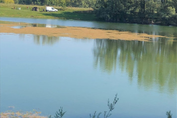 Water Level Update - 7