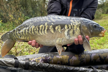 Magnificent Fish - 7