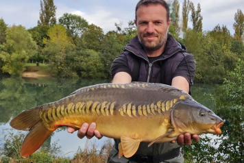 Additional Stock - 2