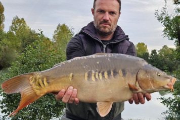 Additional Stock - 3