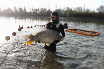 Netting & stock check - 5