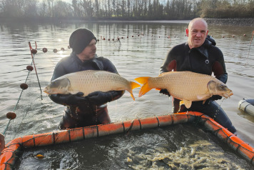 Netting & stock check - 12