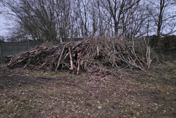Winter Maintenance at Old Oaks - 1
