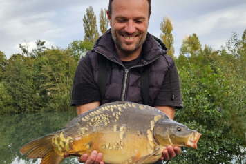 Additional Stock - 7