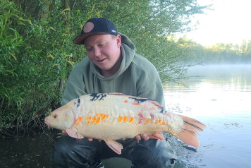 Scorching temperatures - 2