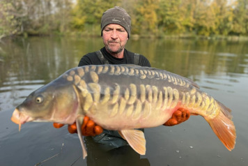 Additional Stocking - 3