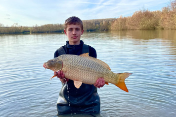 New Additional Stock - 6