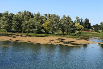 Water Level Update - 2