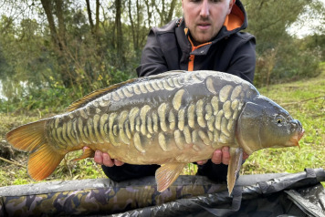 Magnificent Fish - 4