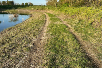 Water Level Update - 7