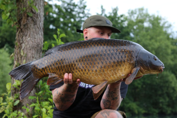 Woods bank updates - 8