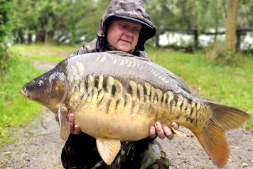 Laroussi Summer News - 2