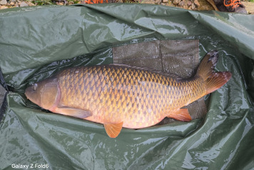 Additional Stock - 2