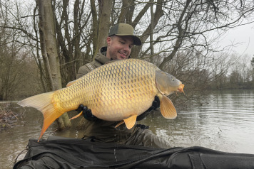 Additional Stock - 9