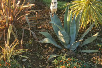 Second Pond Update - 12