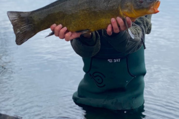 Fab 48hr Session - 5