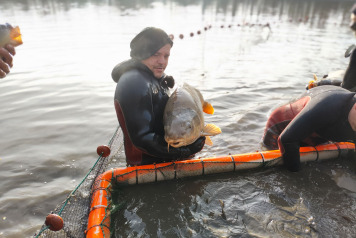 Netting & stock check - 8