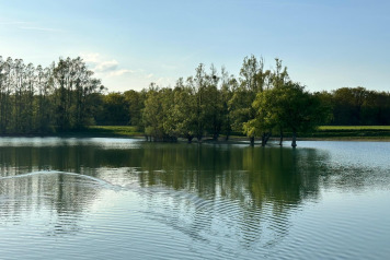 Water Level Update - 10