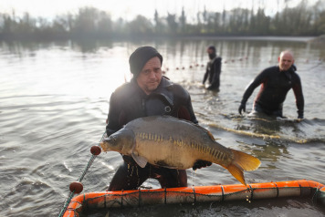 Netting & stock check - 7