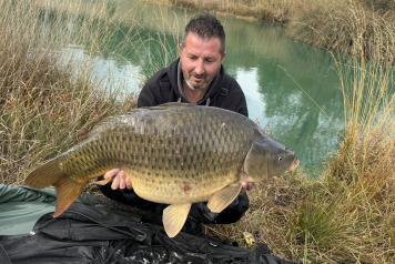 New Arrivals at Golden Carp Lake - 7