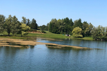 Water Level Update - 5